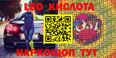 прущие крисы Нальчик