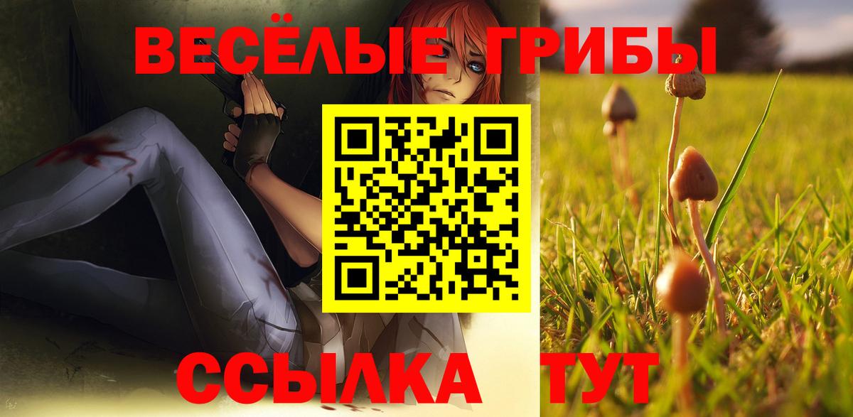 Галлюциногенные грибы прущие грибы Павловский Посад
